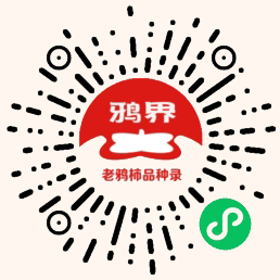 老鸦柿品种论坛鸦界小程序网站