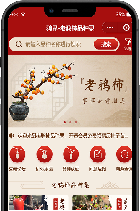 老鸦柿品种论坛鸦界小程序网站