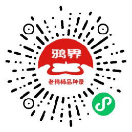 老鸦柿品种论坛鸦界小程序网站