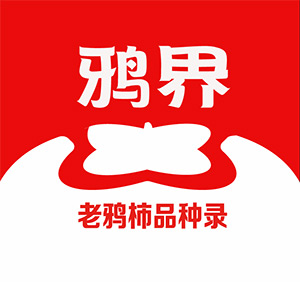 老鸦柿品种论坛鸦界小程序网站